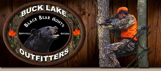 Forfaits de chasse au gros gibier au coyote — Buck Lake Outfitters – Buck Lake Outfitters